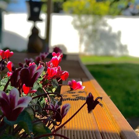 Hotel Onehunga Garden Tinyhouse With Parking Auckland Exterior foto